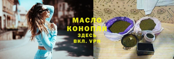 МДПВ Михайлов