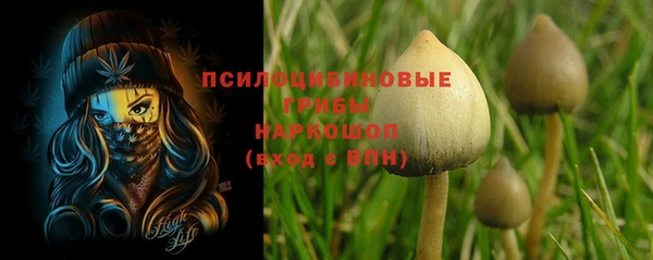 МДПВ Михайлов