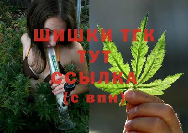 МДПВ Михайлов