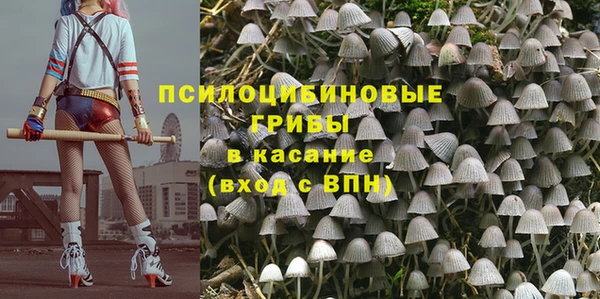 прущая мука Михайловск