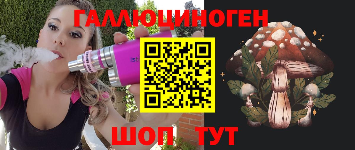 Фрязино  Галлюциногенные грибы прущие грибы  Вход с VPN 